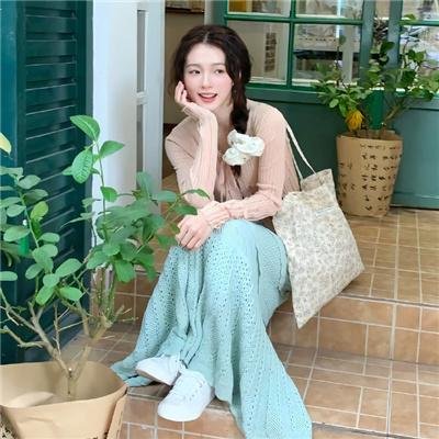 长毛狗